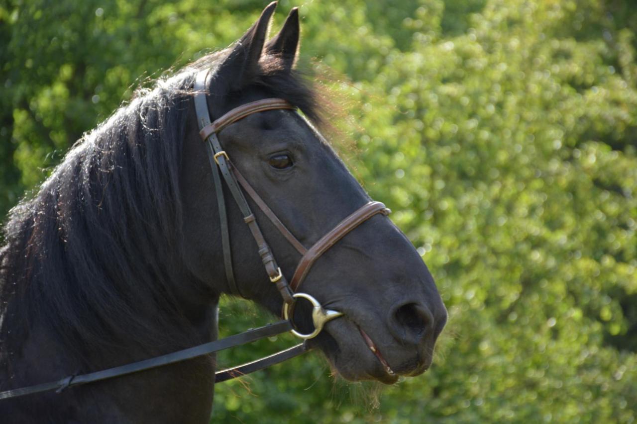 Na Konske Farme Malecov Exterior foto